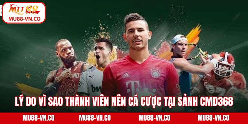 Lý do vì sao thành viên nên cá cược tại sảnh CMD368