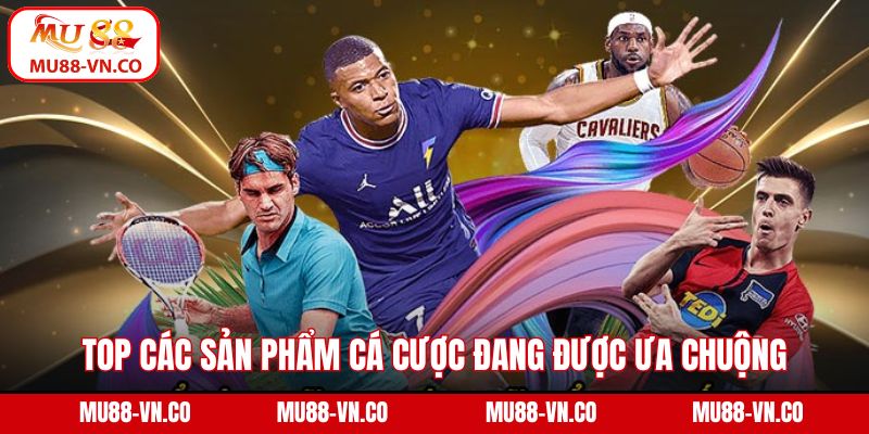 Top các sản phẩm cá cược đang được ưa chuộng tại sảnh