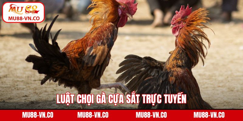 Đá Gà Cựa Sắt - Trải Nghiệm Trận Đấu Kịch Tính Ngay Tại Mu88 3 Luật chọi gà cựa sắt trực tuyến