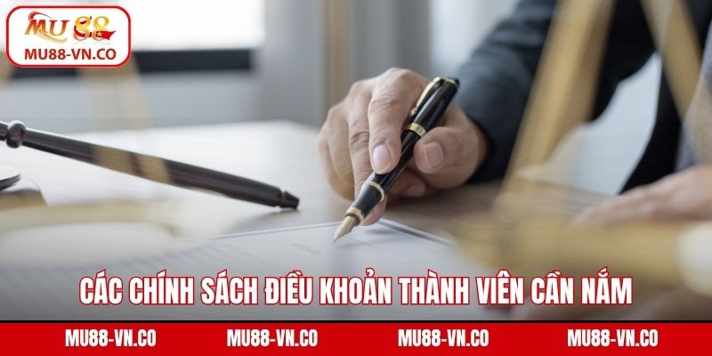 Các chính sách điều khoản thành viên cần nắm khi tham gia 