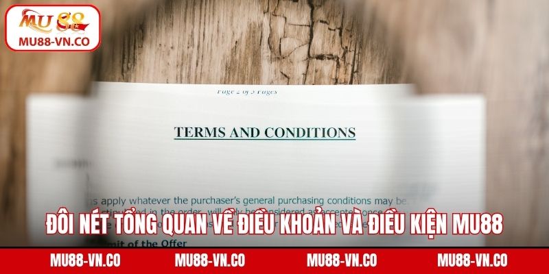 Đôi nét tổng quan về điều khoản và điều kiện MU88