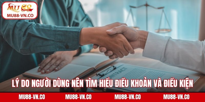 Lý do người dùng khi tham gia nên tìm hiểu điều khoản và điều kiện