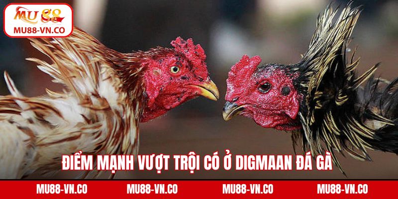 Digmaan Đá Gà Mu88 - Điểm Đến Chọi Kê Trực Tuyến Đỉnh Cao 3 Điểm mạnh vượt trội có ở DIGMAAN đá gà