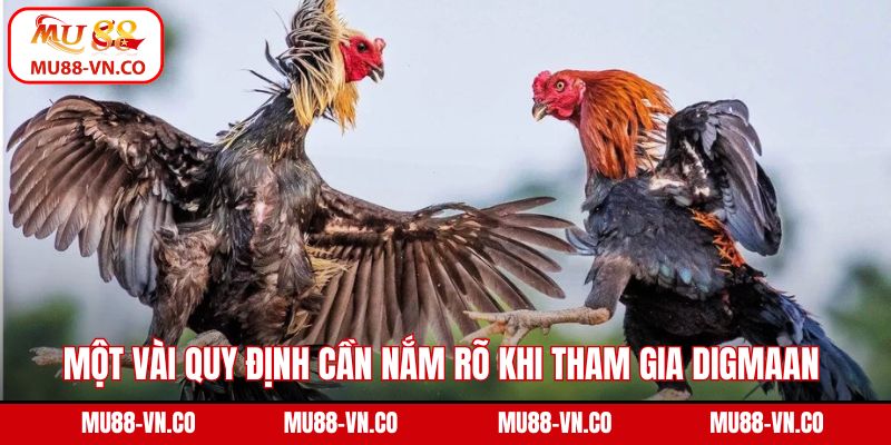 Digmaan Đá Gà Mu88 - Điểm Đến Chọi Kê Trực Tuyến Đỉnh Cao 4 Một vài quy định cần nắm rõ khi tham gia DIGMAAN