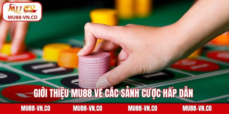 Giới Thiệu Mu88 - Điểm Đến Giải Trí Không Thể Bỏ Qua 2 Giới thiệu Mu88 về các sảnh cược hấp dẫn