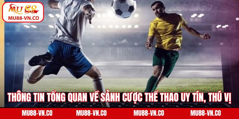 Thông tin tổng quan về sảnh cược thể thao uy tín, thú vị 