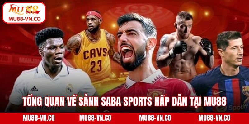 Tổng quan về sảnh Saba Sports hấp dẫn tại Mu88