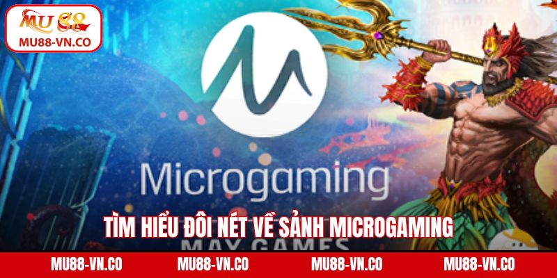 Tìm hiểu đôi nét về sảnh Microgaming