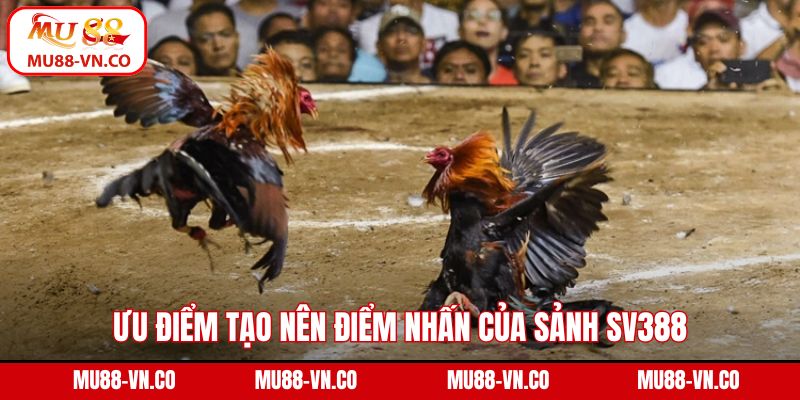 Ưu điểm tạo nên điểm nhấn của sảnh SV388
